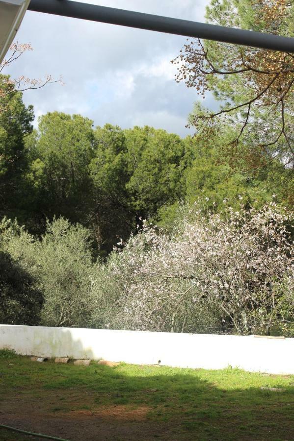 הוילה Andújar Vina Concepcion מראה חיצוני תמונה